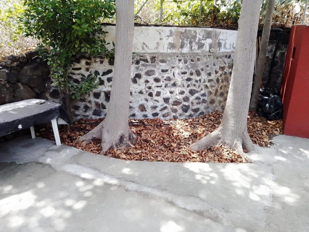 Villa Lomo Fragoso San Sebastián de la Gomera Zewnętrze zdjęcie